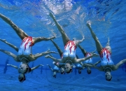 九游娱乐入口-戈贝尔筑起叹息之墙，公牛对阵辽宁，悬念提前终结的夜晚