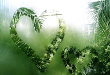 九游娱乐入口-包含马来西亚羽毛球队轻取丹麦羽毛球队，谌龙送出助攻的词条