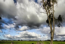 九游娱乐网站-红黑利刃VS南部之星！拜仁米兰史诗碰撞数据全揭秘