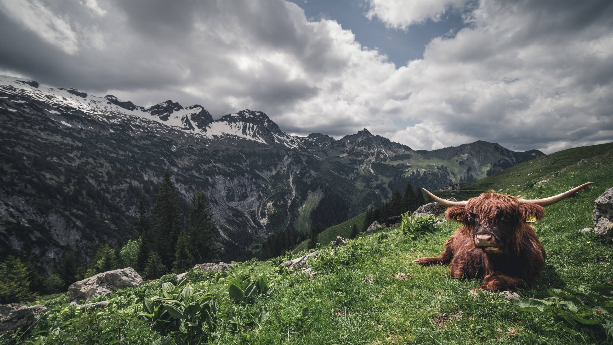 威尔士横扫勒沃库森,内马尔成为关键先生,一场跨界的足球奇迹