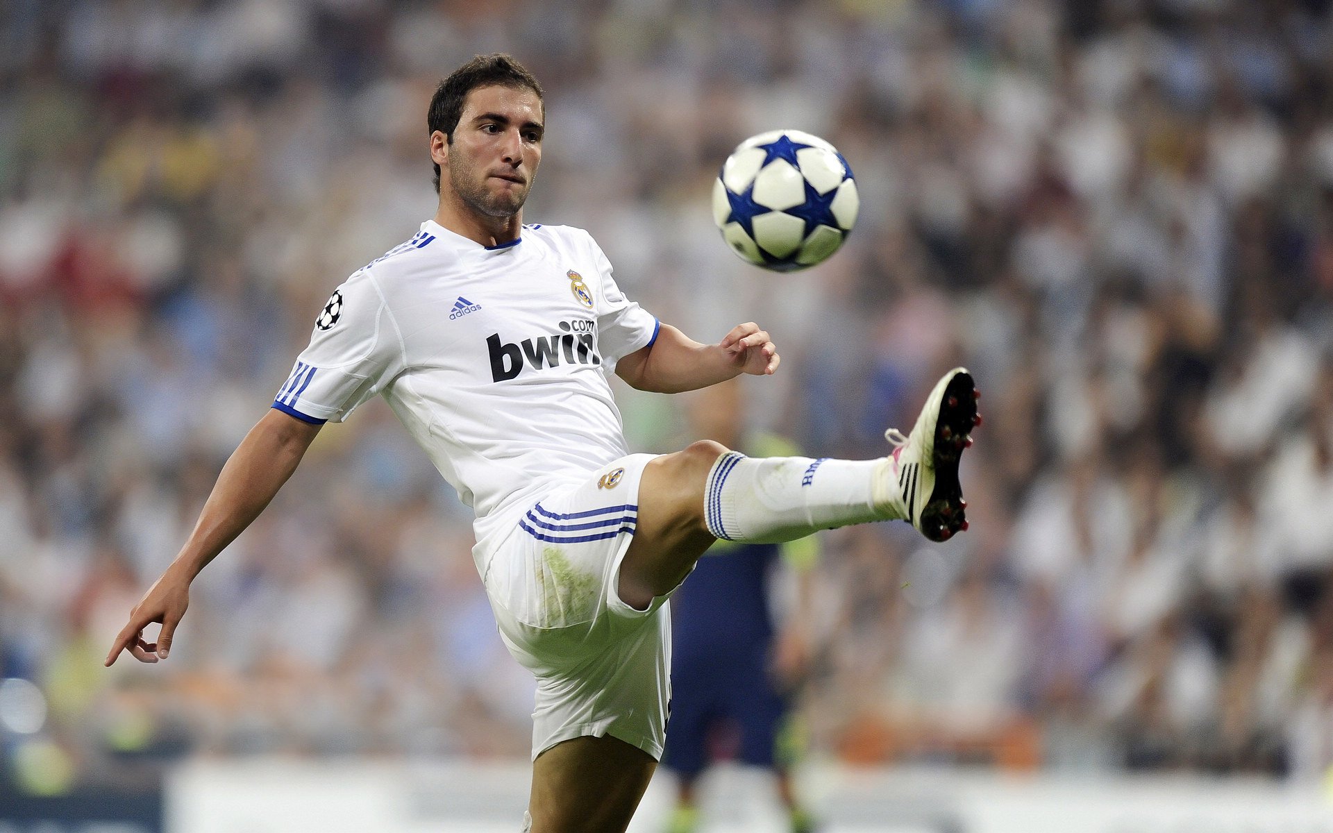 从北非沙漠到英超巅峰,阿尔及利亚之魂如何点燃争冠焦点战