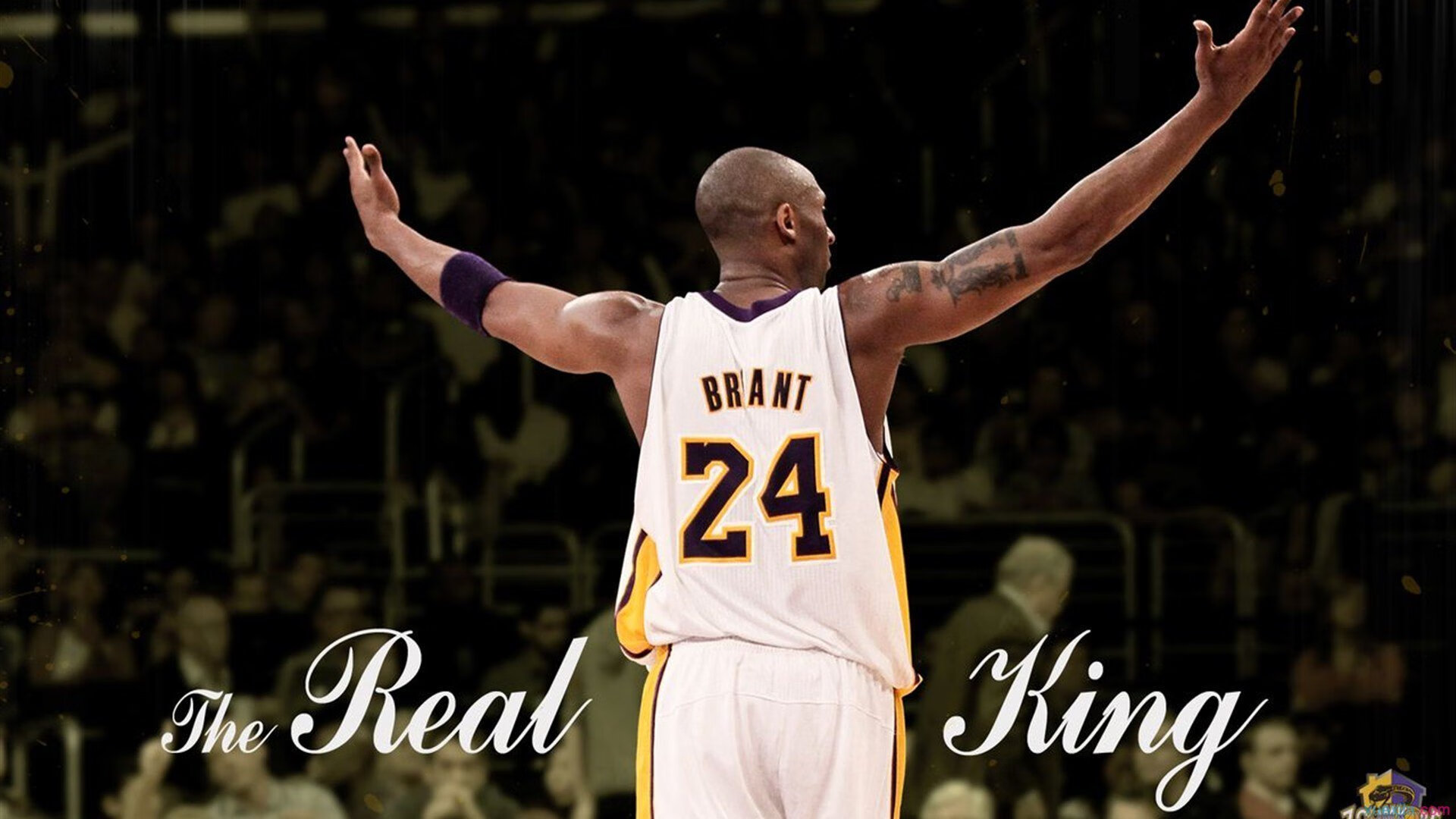 总决赛之夜,莫兰特的存在感为何能超越胜负本身?